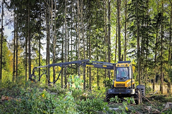 mežizstrāde, kokmateriālu piegāde
