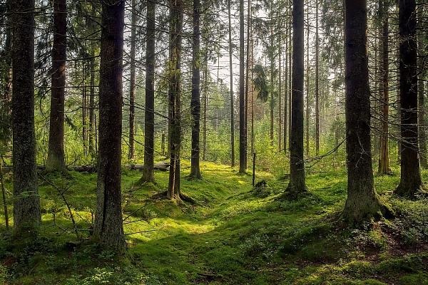 Piedāvājam sertificēta mērnieka pakalpojumus