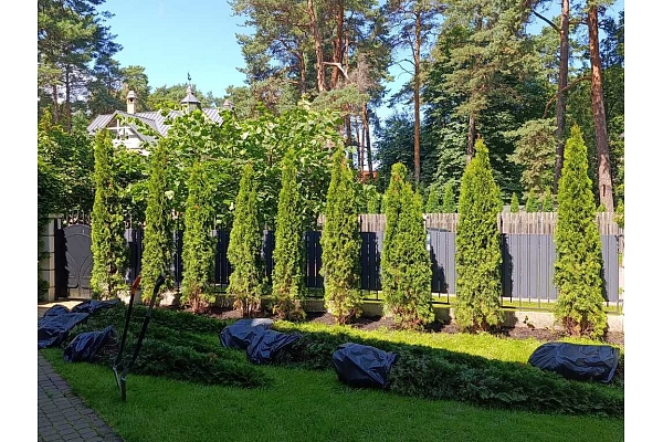 Apstādījumu uzturēšana