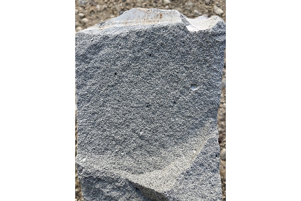 šūnbetons