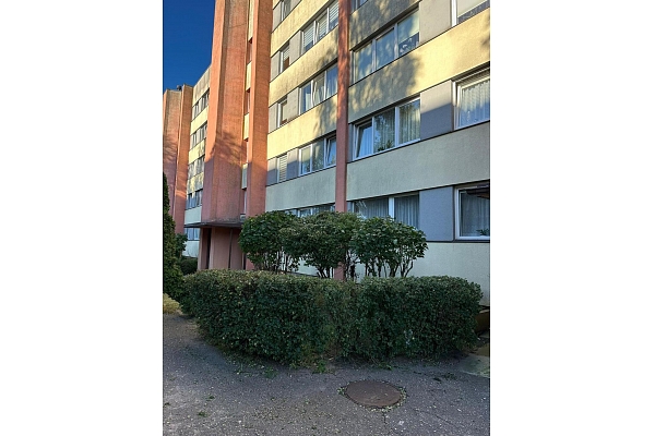 Profesionāla apstādījumu sakopšana un teritorijas uzlabošana