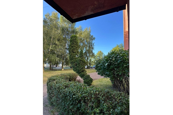 Dekoratīvo krūmu un koku kopšana sakoptai videi