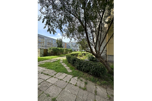 Pagalmu un zaļo zonu sakopšana daudzdzīvokļu mājām