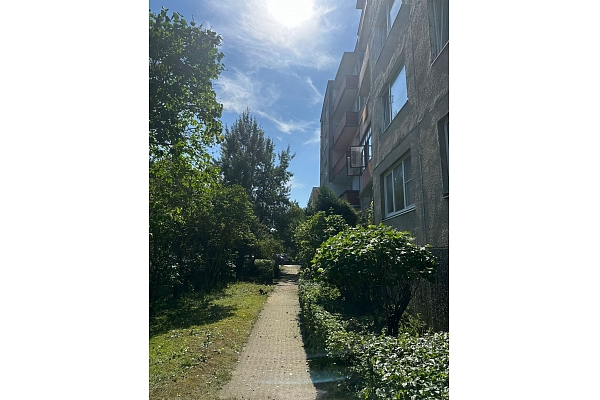 Krūmu un apstādījumu kopšana dzīvojamo ēku teritorijās