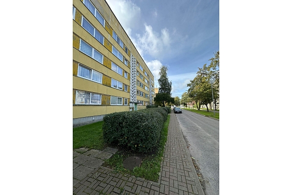 Dzīvžogu formēšana un teritorijas uzturēšana pilsētvidē