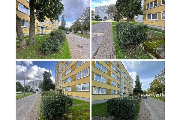 Krūmu apgriešana un teritorijas labiekārtošana pilsētvidē