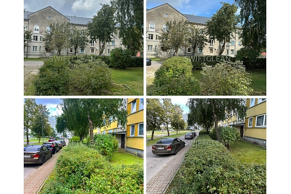 Koku un zaļo zonu kopšana ar profesionālu pieeju