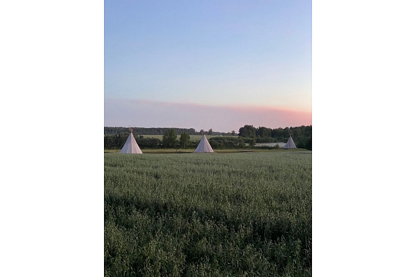 Tipi