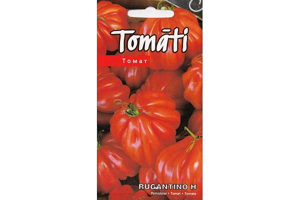 Rugantino H