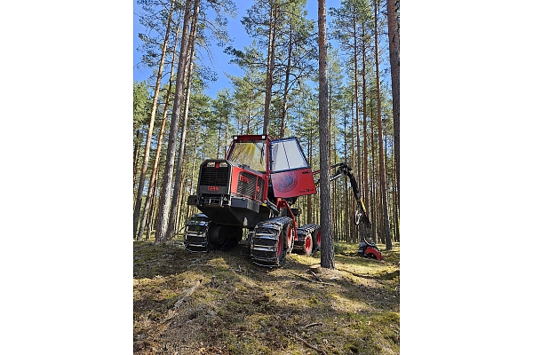mežizstrādes darbi